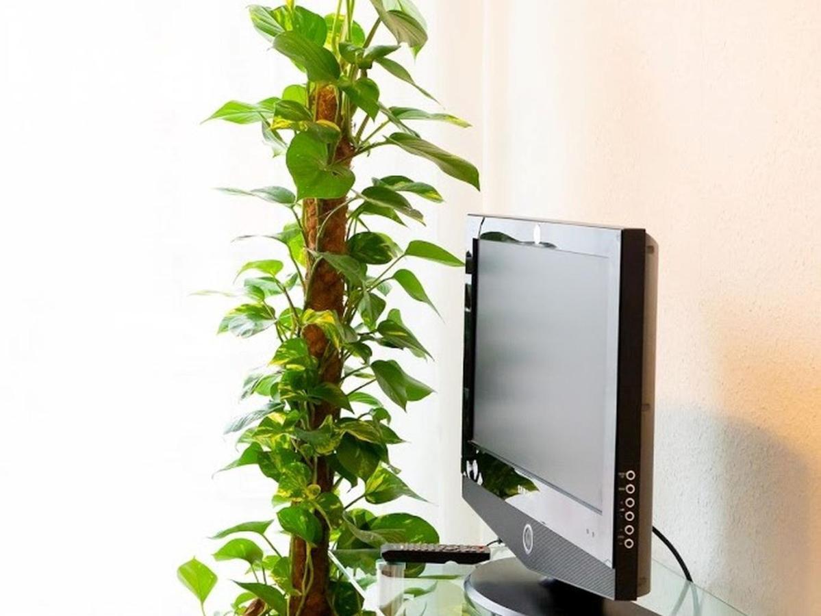 Epting Apartment *